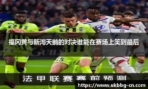 雷速体育在线